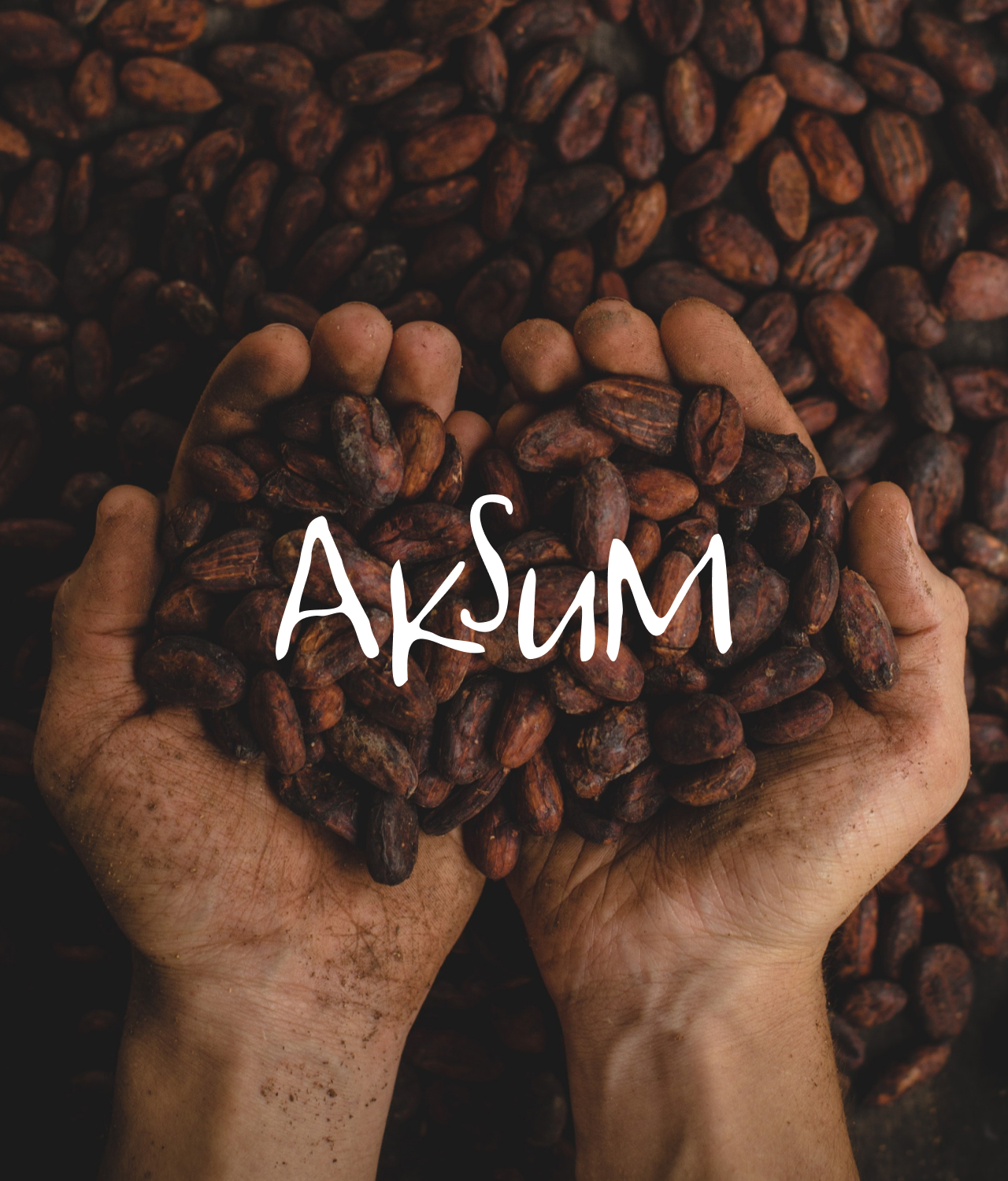 Case Aksum