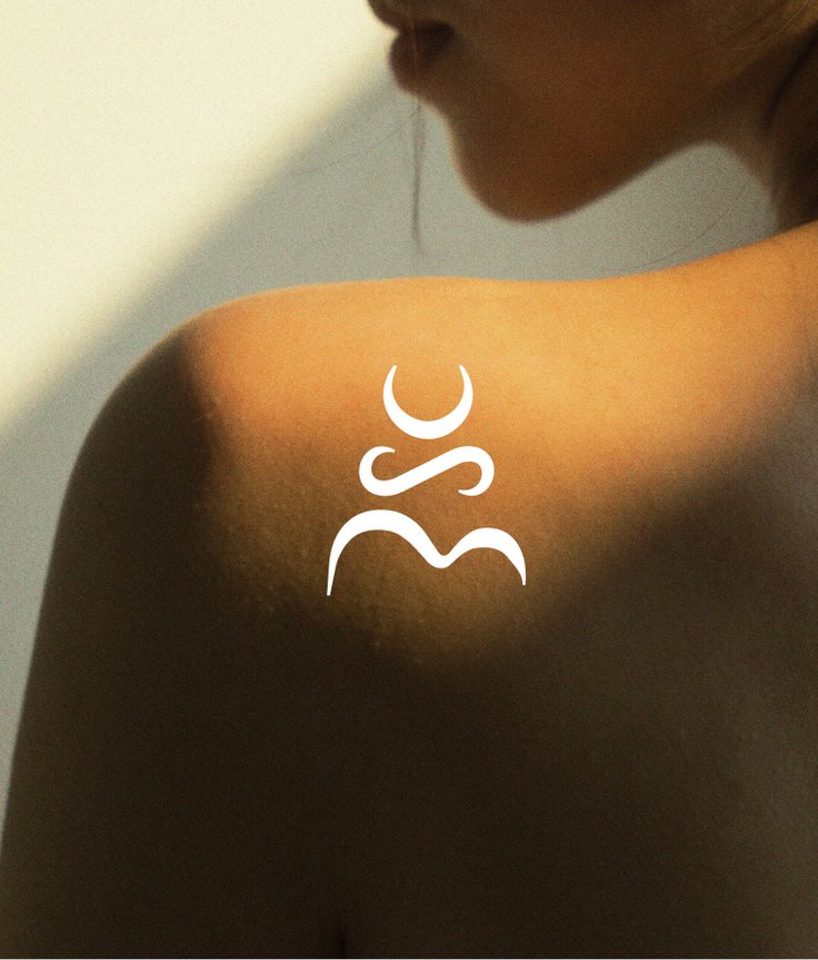 Case Body Shape center