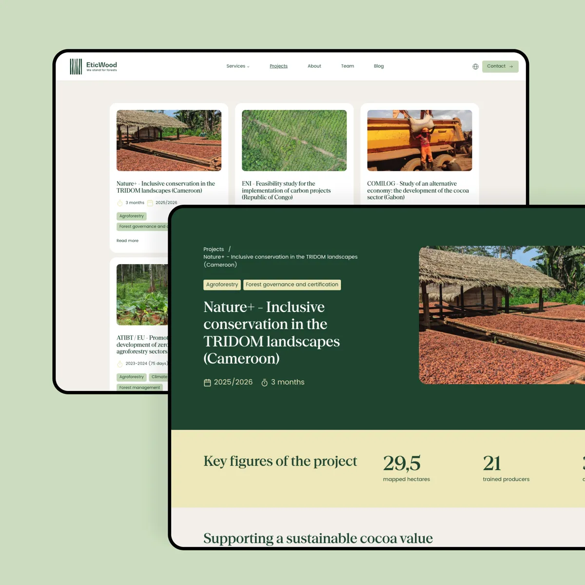 eticwood-projet-et-impact-terrain