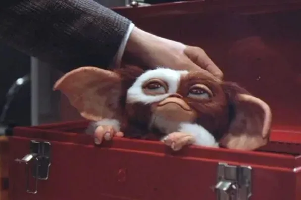 gizmo-datos-curiosos