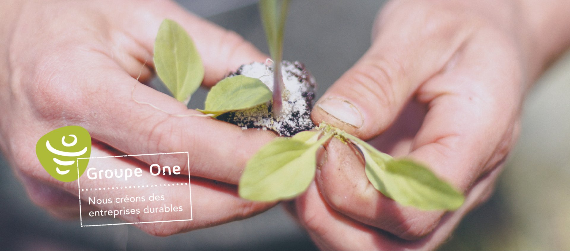 groupeone-01