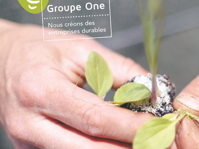 GROUPE ONE — Webdesign
