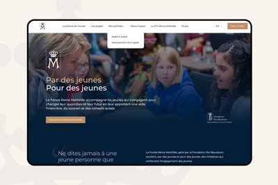 reprendre-le-controle-dun-site-wordpress-devenu-difficile-a-gerer-lapproche-kern-it-pour-le-fonds-reine-mathilde-04