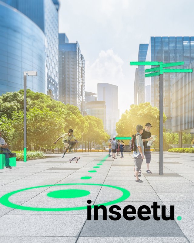 Case Inseetu