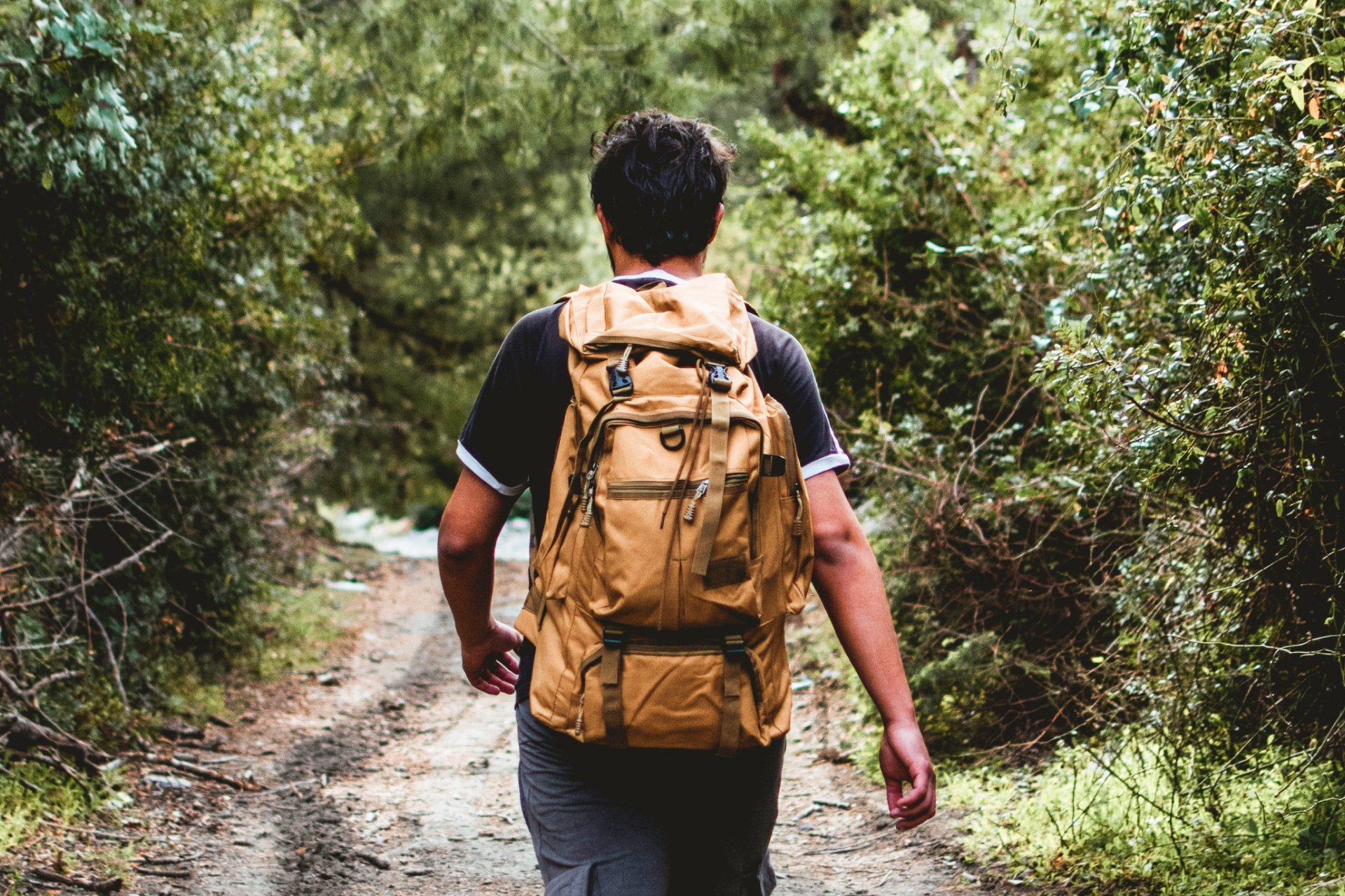 liberation-route-europe-app-mobile-homme-qui-marche-foret